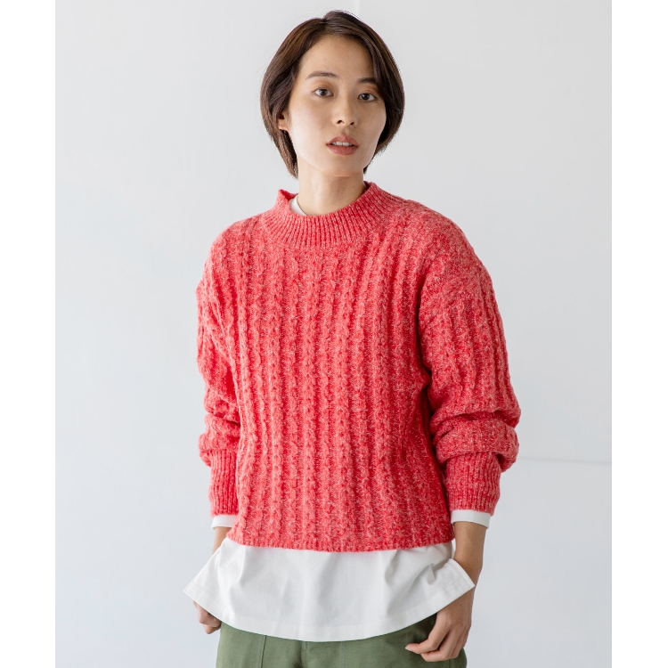 ザ ショップ ティーケー（ウィメン）(THE SHOP TK(Women))の◆【洗える/もちもち】クロップド丈ハイネックニット/CLUEL 11月号掲載 ニット/セーター