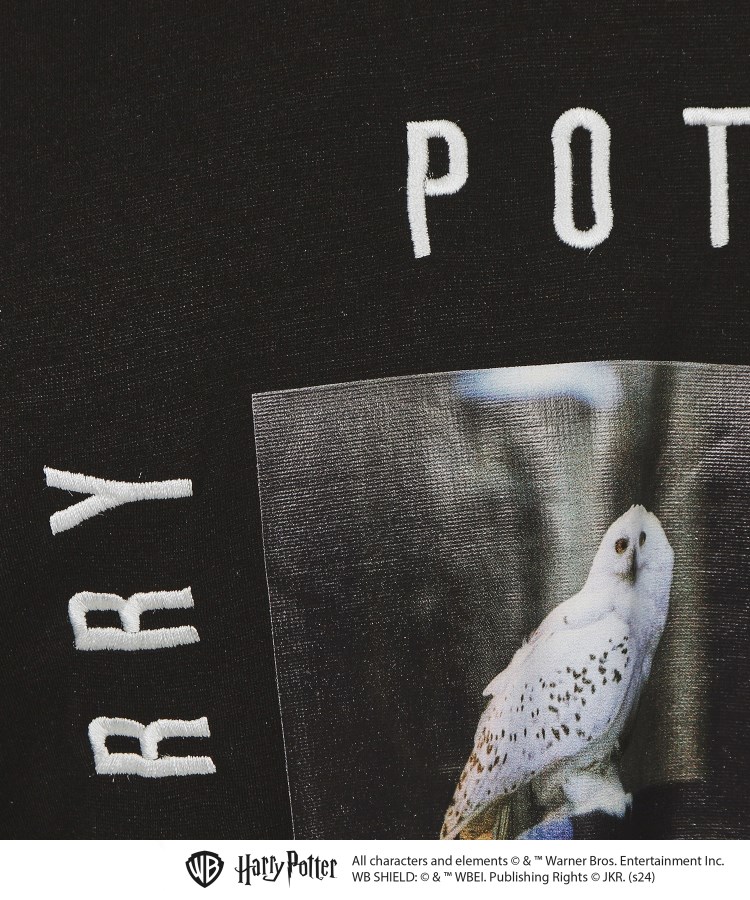 ティーケー タケオ キクチ(tk.TAKEO KIKUCHI)の【Harry Potter Capsule Collection】フォトプリントTシャツ37