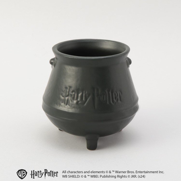 トゥーワントゥーキッチンストア(212 KITCHEN STORE)のマルチタンブラー 大鍋 ＜Harry Potter ハリー・ポッター＞ スポットキャラクター