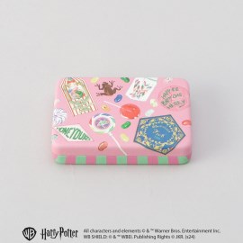 トゥーワントゥーキッチンストア(212 KITCHEN STORE)のアクセサリーケース ハニーデュークス ＜Harry Potter ハリー・ポッター＞ スポットキャラクター