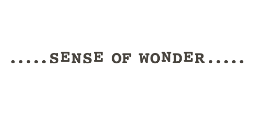 sense of wonder