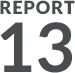 REPORT 13