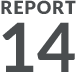 REPORT 14