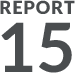 REPORT 15