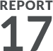 REPORT 17