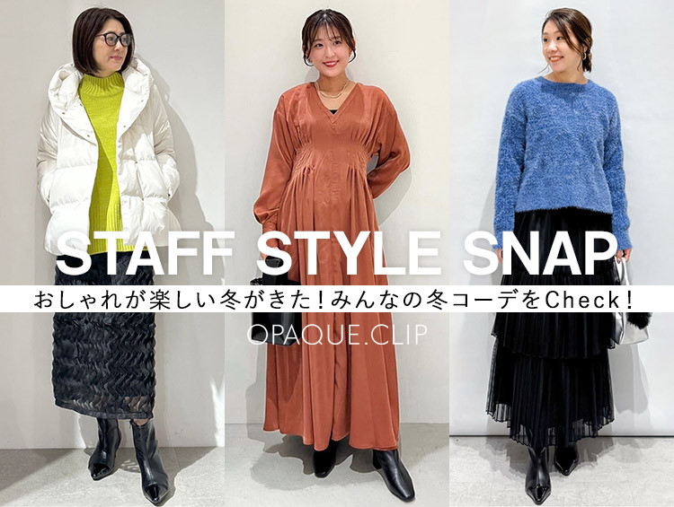 STYLE SNAP