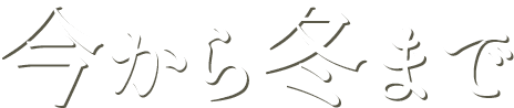 今から冬まで