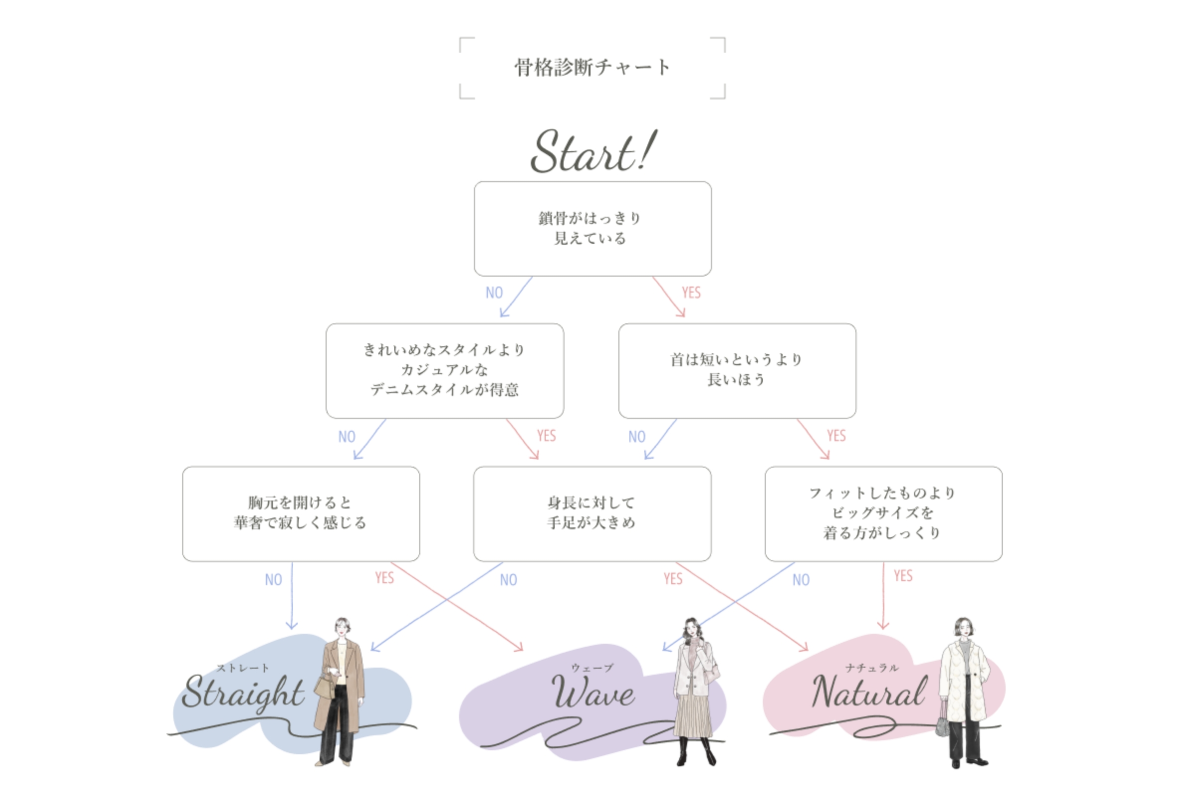 骨格診断チャート